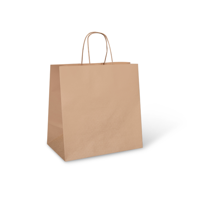 LARGE PAPER CARRY BAG WITH TWISTED GNW Packaging